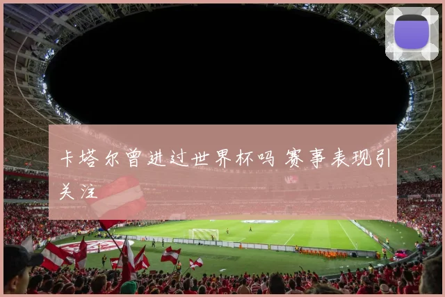 卡塔尔曾进过世界杯吗 赛事表现引关注