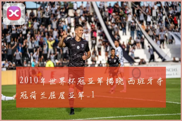 2010年世界杯冠亚军揭晓 西班牙夺冠荷兰屈居亚军_1